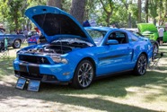 2020 Car Show-95.jpg